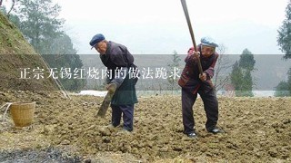 正宗无锡红烧肉的做法跪求