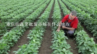 重庆的蔬菜批发市场在什么地方