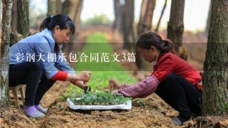 彩钢大棚承包合同范文3篇