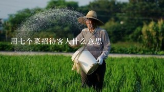 用7个菜招待客人什么意思