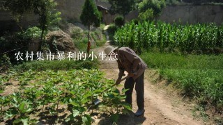 农村集市暴利的小生意