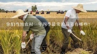 你们当地农村1年4季最常的蔬菜有哪些？