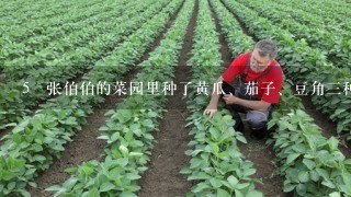 5 张伯伯的菜园里种了黄瓜、茄子、豆角3种蔬菜。黄瓜比茄子多12%，豆角比黄瓜少12%。豆角比茄子多还是少？