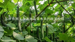 怎样在网上查各地蔬菜水果的批发价格