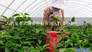 大润发今天蔬菜价格查询大白菜价格？