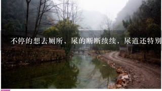 不停的想去厕所，尿的断断续续，尿道还特别痛是怎么