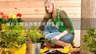 现在上海5月季节吃什么蔬菜