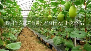 4川什么蔬菜最贵？都有什么？什么价格？