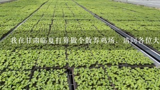 我在甘肃临夏打算做个散养鸡场，请问各位大虾养什么鸡比较好呢？