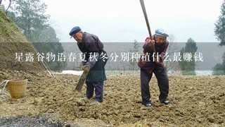 星露谷物语春夏秋冬分别种植什么最赚钱