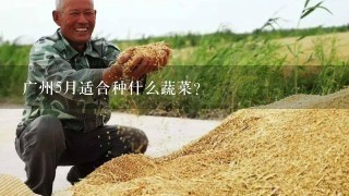 广州5月适合种什么蔬菜？