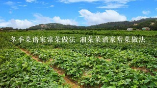 冬季菜谱家常菜做法 湘菜菜谱家常菜做法