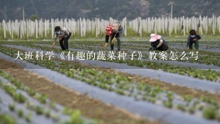 大班科学《有趣的蔬菜种子》教案怎么写