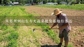 从郑州到山东寿光蔬菜批发基地有多远