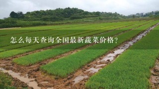 怎么每天查询全国最新蔬菜价格？