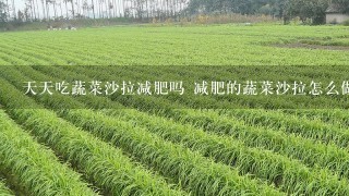 天天吃蔬菜沙拉减肥吗 减肥的蔬菜沙拉怎么做