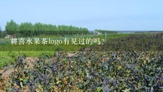 耕喜水果茶logo有见过的吗?