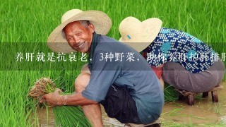 养肝就是抗衰老，3种野菜，助你养肝护肝排肝毒，健