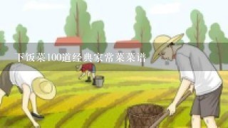 下饭菜100道经典家常菜菜谱