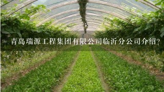 青岛瑞源工程集团有限公司临沂分公司介绍？