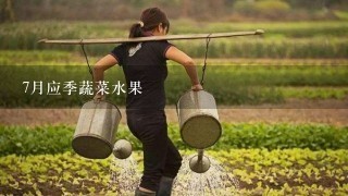 7月应季蔬菜水果