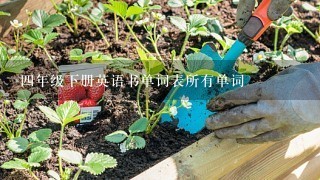 4年级下册英语书单词表所有单词