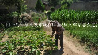 4平的干菜批发市场在哪里?从火车站怎么走？