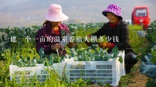 建1个1亩的温室养殖大棚多少钱