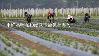 生鲜鸡鸭在10度以下能保存多久