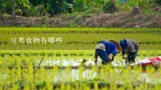 豆类食物有哪些