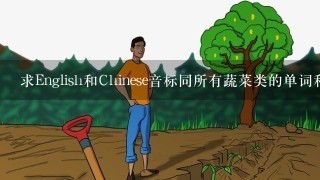 求English和Chinese音标同所有蔬菜类的单词和音标