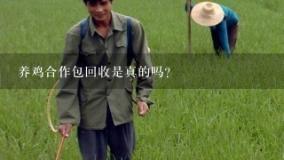 养鸡合作包回收是真的吗？