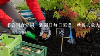 求公司食堂周1到周日每日菜谱，就餐人数大约800人左右，餐费标准10元/天3餐,急！！！谢谢！