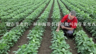 超市里卖的1种和海带长得挺像叫海芽菜东西是什么？有什么营养价值？