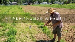 关于农业种植的公司名称 农业公司名字