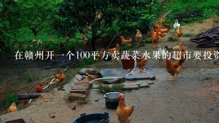 在赣州开1个100平方卖蔬菜水果的超市要投资多少钱