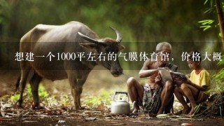 想建1个1000平左右的气膜体育馆，价格大概多少钱？