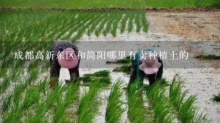 成都高新东区和简阳哪里有卖种植土的