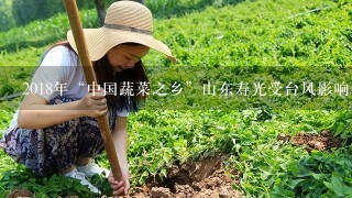 2018年“中国蔬菜之乡”山东寿光受台风影响，多地连降历史罕见的大暴雨，当地的蔬菜大量受到严重的冲毁...