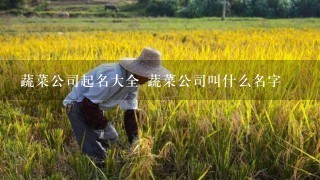 蔬菜公司起名大全 蔬菜公司叫什么名字