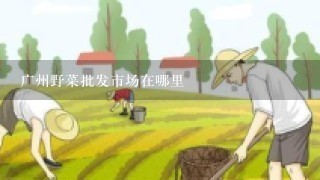 广州野菜批发市场在哪里