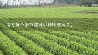 南方每个季节都可以种哪些蔬菜？