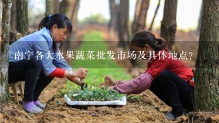 南宁各大水果蔬菜批发市场及具体地点？