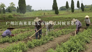 广州江南果菜批发市场什么时候开业的