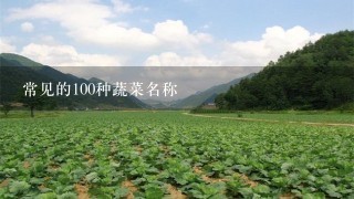 常见的100种蔬菜名称