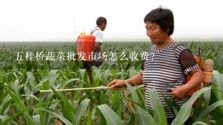 5桂桥蔬菜批发市场怎么收费？