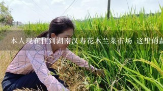 本人现在住到湖南汉寿花木兰菜市场 这里的蔬菜且新鲜价格便宜 象现在的白菜苔 萝卜 窝笙 ， 绿色蔬菜