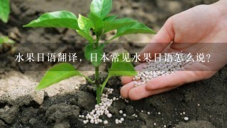 水果日语翻译，日本常见水果日语怎么说？