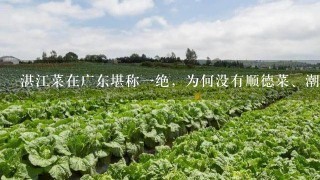 湛江菜在广东堪称1绝，为何没有顺德菜、潮汕菜出名