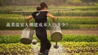 蔬菜温室大棚建成本大约多少？